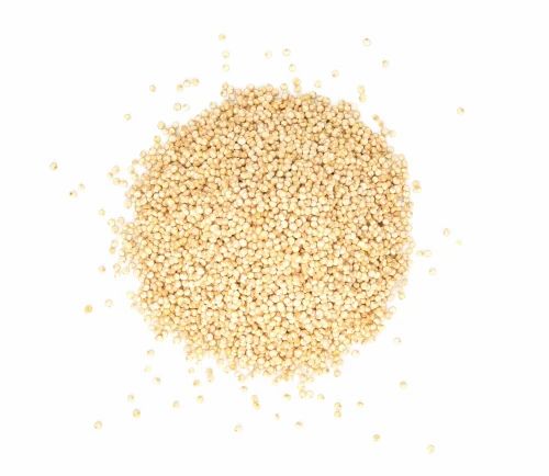 Organic Quinoa Seed