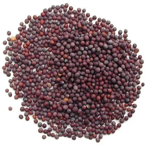Mustard Seeds, Black