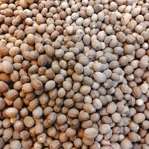 Nutmeg Whole, Form: Without Shell, Export Quality