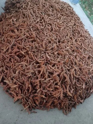 With Seed Dry Tamarind