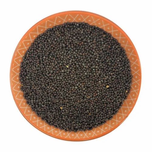 Mustard Black Seeds, 25 Kg