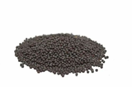 Mustard Seeds, 25 Kg