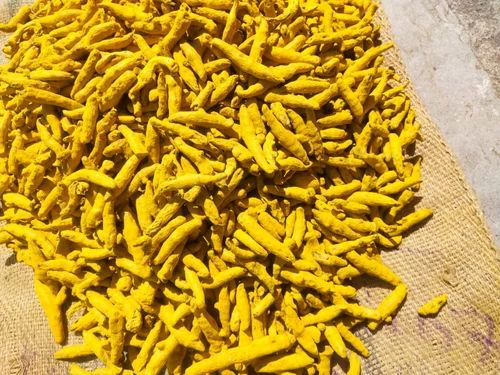Lakadong Turmeric Finger With Cur Cumin Content 5