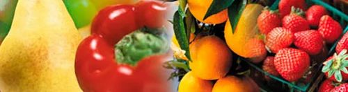 Organic Food Products