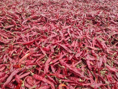 A Grade Dry Red , S4, S17, 334 , Bulk Quantities Export. Direct Farmers, 25 kg