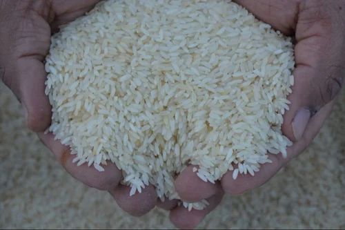 Raw Sona Masoori Rice
