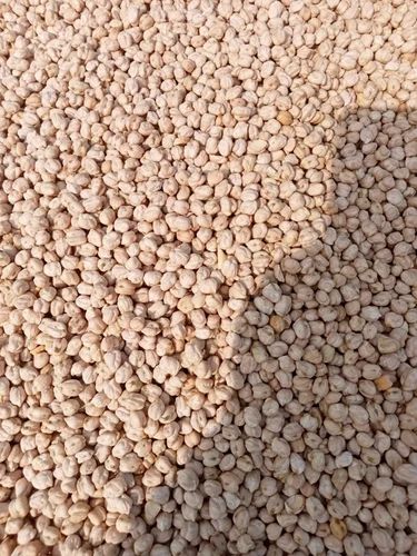 Chickpeas