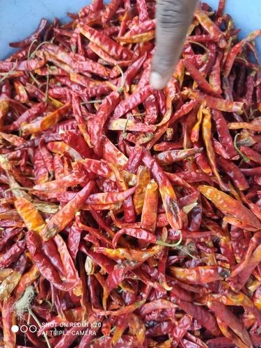 Red Chilli, Super 10 (S10)