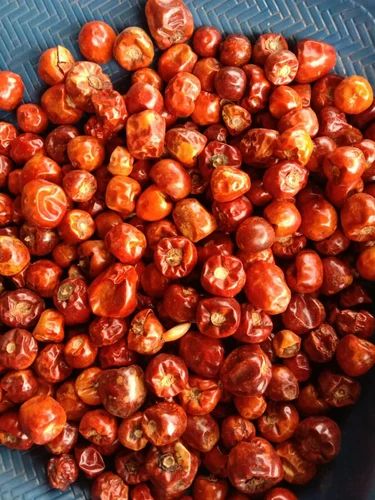 Gundu Red Chilli Rate