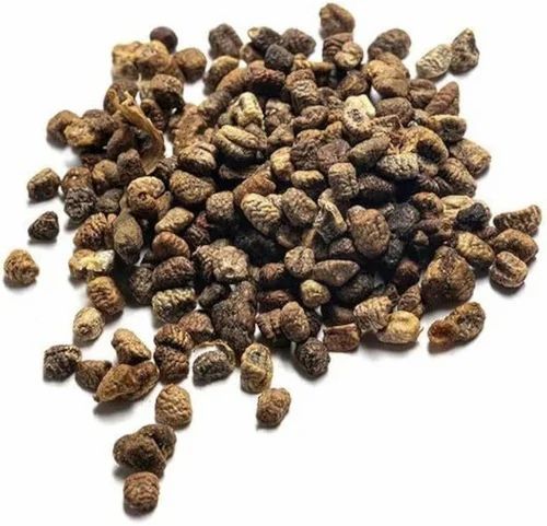 Green Cardamom Seed, Packaging Size: 100 g, Plastic Bag