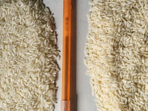 SONAMASOORI STEAM RICE