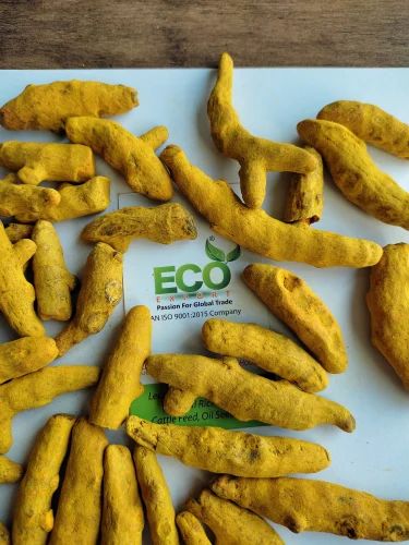 Nizamabad Export Quality Whole Turmeric Finger