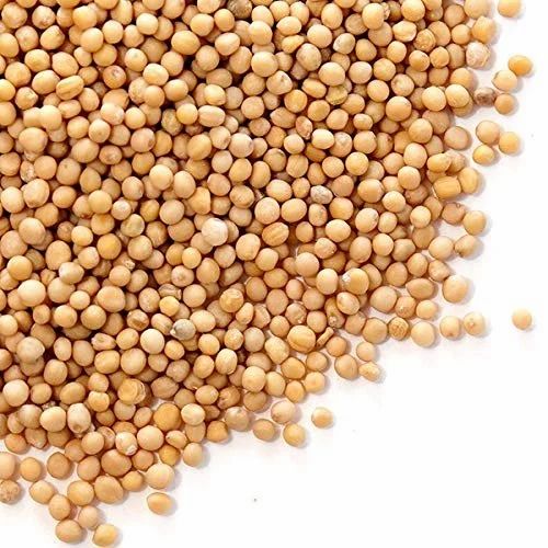 Yellow Mustard Seeds, Big