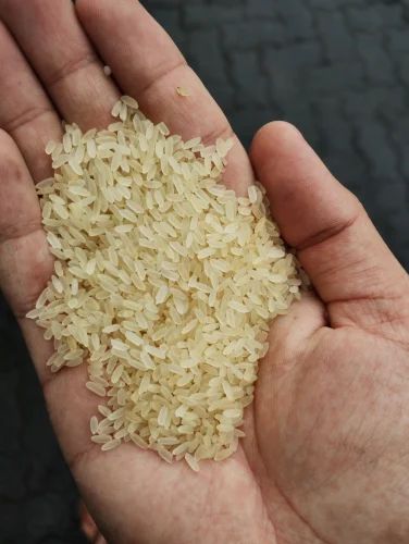 IR 64 Parboiled Non Basmati Rice (Medium Grain, 5% Broken, Sortex)
