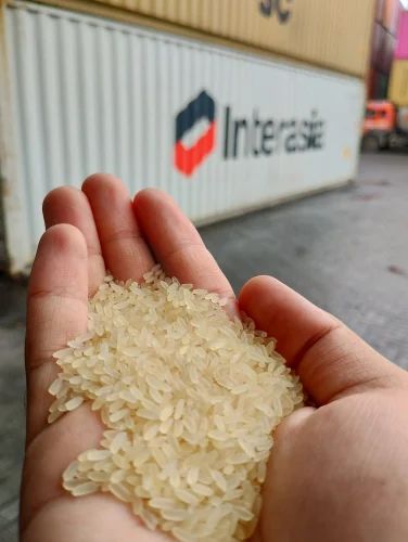 Long Grain Non Basmati Rice from India - Parboiled IR 64 (Medium Grain)