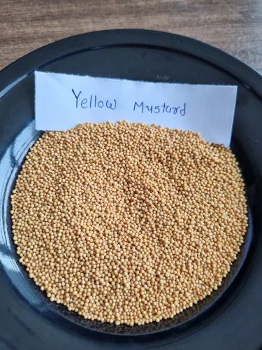 Yellow Mustard Seeds (Whole Seeds)