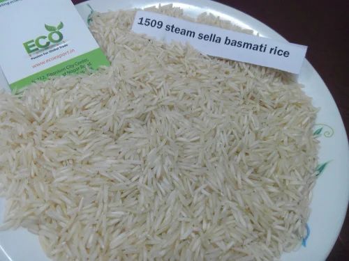 1509 Steam Rice - Extra Long Grain, Creamy White, Double Polished