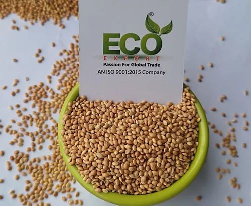 Premium Quality Yellow Bold Millet