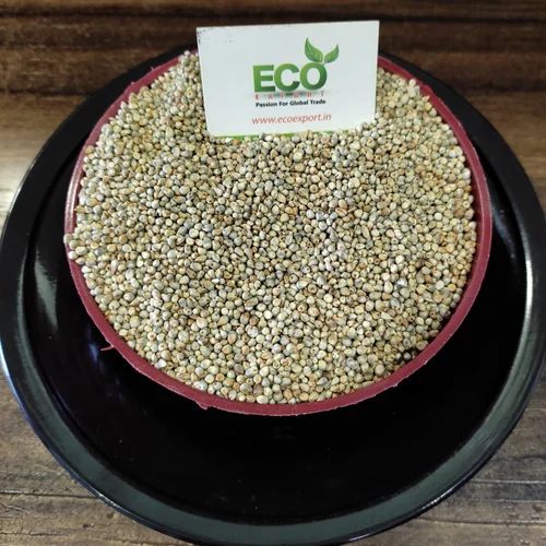 Machine Clean Green Millet From India