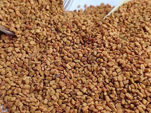 Indian Fenugreek Seeds - Whole, Machine Cleaned (99.5% Purity)