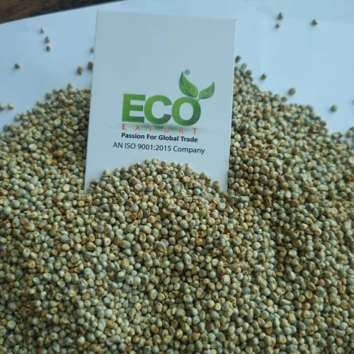 Green Millet ( Hara Bajara )