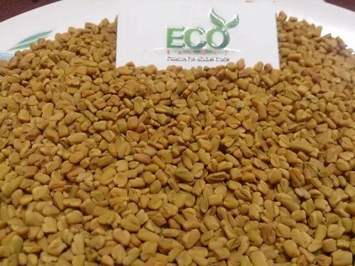 Fenugreek Methi Seeds, Bold