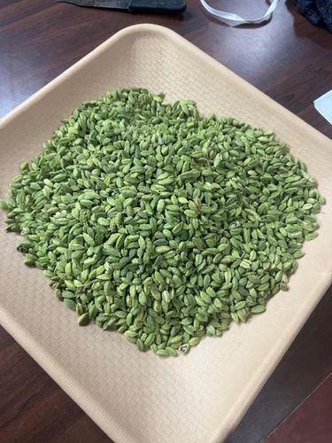 Premium Indian Green Cardamom