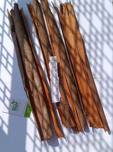 Cyclone Cinnamon Bark, Form: Paper Dosa, Indian (Malabar)