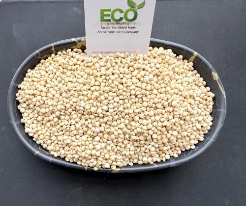 Milky White Sorghum (Machine Cleaned, Food Grade)