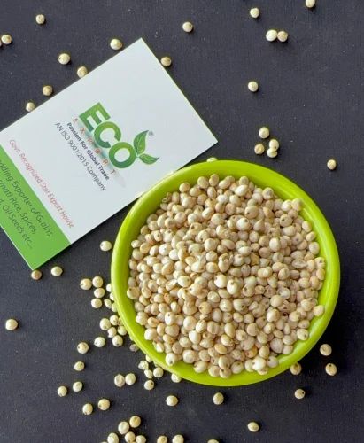 Sorghum Seed Supplier