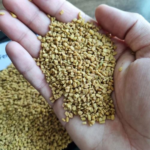 100% Indian Origin Fenugreek Seeds, Bold