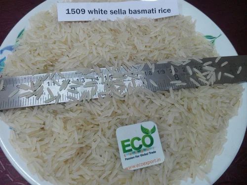 1509 Basmati White Sella Rice (Long Grain, Double Polished)