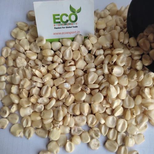 White Maize Corn