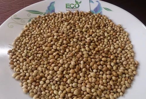 Eagle Quality Whole Coriander Seeds
