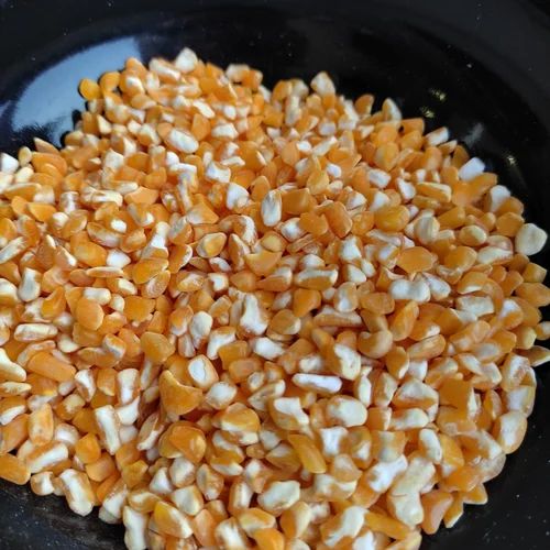 Yellow 3mm Crush Maize Broken (Tukdi) for Poultry Feed (Feed Grade)