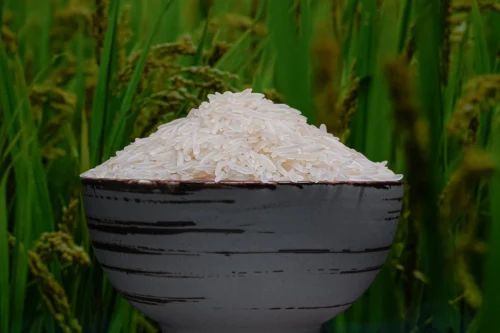 Banskati Husk Rice, 25 Kg, Packaging Type: Jute Bag
