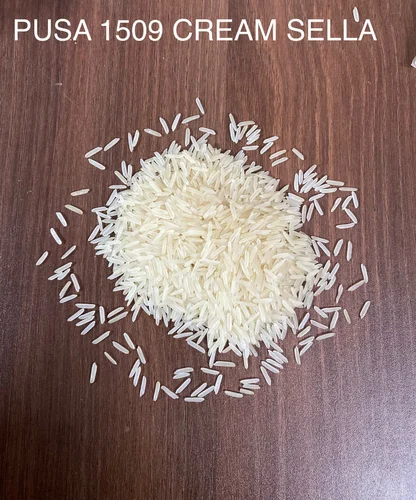Pusa 1509 Cream Sella, Long-Grain Rice