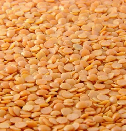 Red Masoor Dal