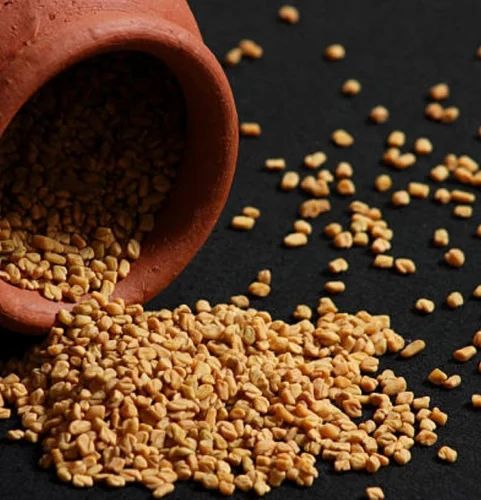 Whole Ghandhimathi Traders Organic Fenugreek Seed, Packaging Size: 100g