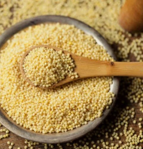 Organic Foxtail Millet