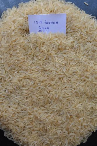 1509 Golden Sella Rice, Packaging Size: 10 Kg