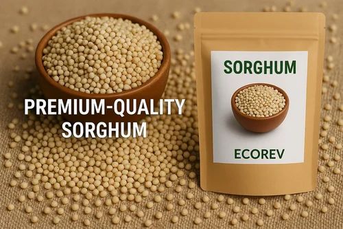 Sorghum