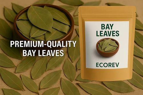 Bay Leaf Tej Patta