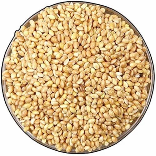 Unpolished Foxtail Millet Seed, Form: Grain