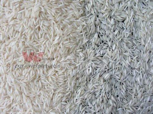 Sugandha Creamy Rice