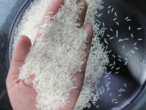 IR-64 Rice Supplier in India