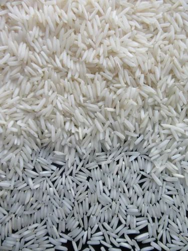 Fresh Basmati Rice