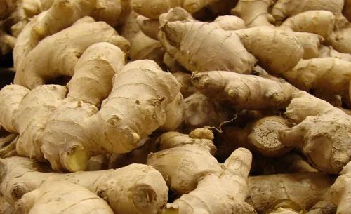 Organic Karbi Anglong Ginger