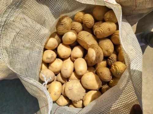 Yellow Potato Farm Fresh, 50 kg, 45Mm+