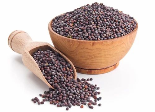 Black Mustard Seeds, 50 kg